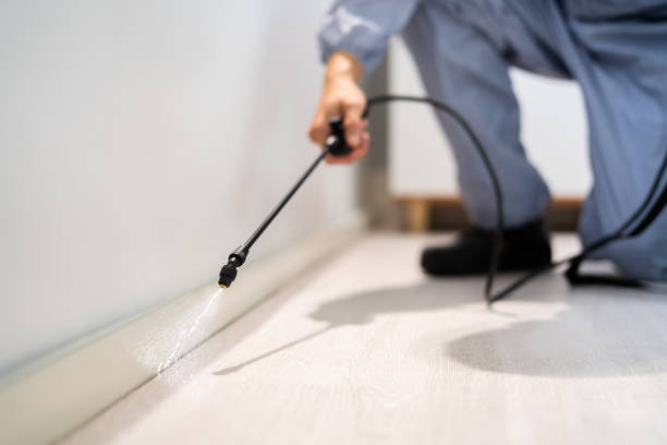 Rodent Entry Point Assessment in Lattingtown