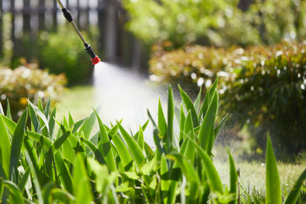 Tamper-Resistant Bait Stations for Rodents in Lattingtown
