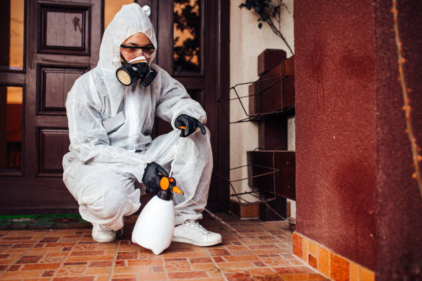 Attic and Crawl Space Rodent Treatment in Lattingtown