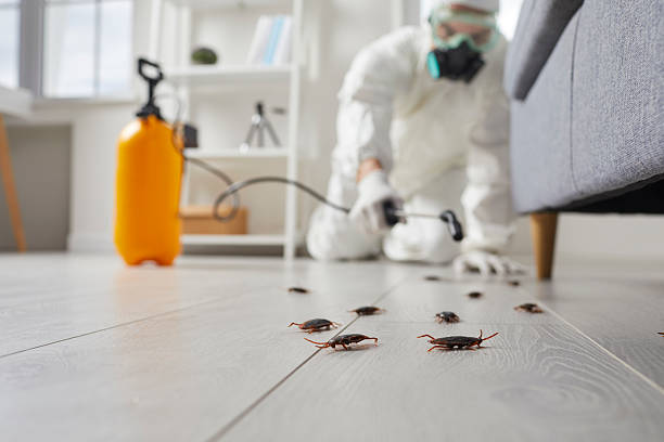 Commercial Rodent Management in Lattingtown